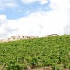 Partanna 2010 (574)